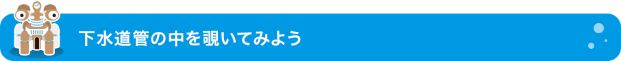 下水道管の中を覗いてみよう